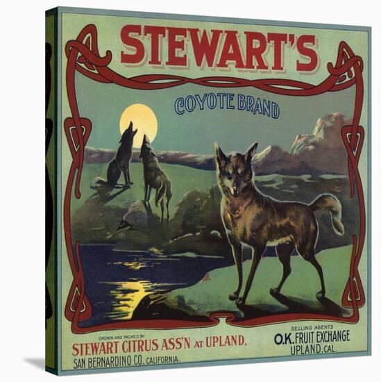 Stewarts Coyote Brand - Upland, California - Citrus Crate Label-Lantern Press-Stretched Canvas