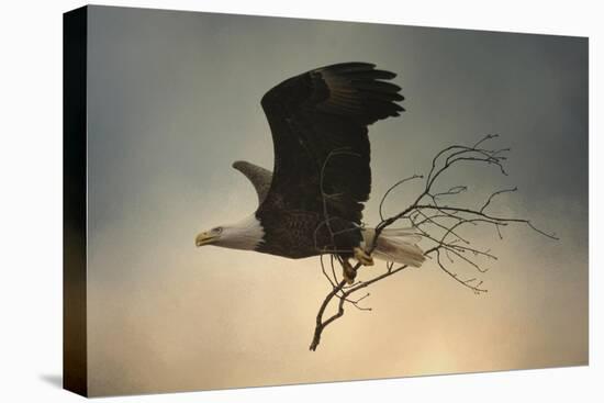 Stick Delivery-Jai Johnson-Stretched Canvas