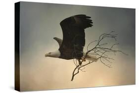 Stick Delivery-Jai Johnson-Stretched Canvas