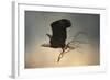 Stick Delivery-Jai Johnson-Framed Giclee Print