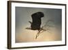 Stick Delivery-Jai Johnson-Framed Giclee Print