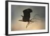 Stick Delivery-Jai Johnson-Framed Giclee Print