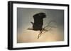 Stick Delivery-Jai Johnson-Framed Giclee Print