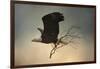 Stick Delivery-Jai Johnson-Framed Giclee Print