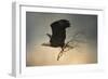 Stick Delivery-Jai Johnson-Framed Premium Giclee Print