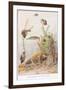 Sticklebacks and Water Snails, Illustration from 'Country Ways and Country Days'-Louis Fairfax Muckley-Framed Giclee Print