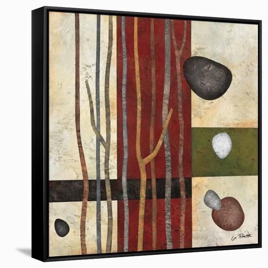 Sticks and Stones V-Glenys Porter-Framed Stretched Canvas