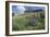 Sticky Aster and Indian Paintbrush, Mt. Timpanogas Wilderness Area-Howie Garber-Framed Photographic Print