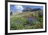 Sticky Aster and Indian Paintbrush, Mt. Timpanogas Wilderness Area-Howie Garber-Framed Photographic Print