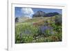 Sticky Aster and Indian Paintbrush, Mt. Timpanogas Wilderness Area-Howie Garber-Framed Photographic Print