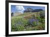 Sticky Aster and Indian Paintbrush, Mt. Timpanogas Wilderness Area-Howie Garber-Framed Photographic Print