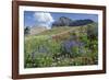 Sticky Aster and Indian Paintbrush, Mt. Timpanogas Wilderness Area-Howie Garber-Framed Photographic Print