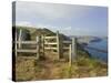 Stile, Devon Coast Path, South Hams, Devon, England, United Kingdom-David Hughes-Stretched Canvas