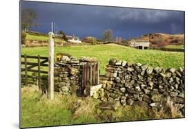 Stile in a Dry Stone Wall at Storiths, North Yorkshire, Yorkshire, England, United Kingdom, Europe-Mark Sunderland-Mounted Photographic Print