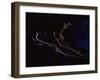 Stilfser Joch at Night, with Light Trails, Stilfserjoch, Alps, Italy, Europe-Jochen Schlenker-Framed Photographic Print