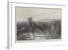 Still as Death-John Trivett Nettleship-Framed Giclee Print