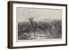 Still as Death-John Trivett Nettleship-Framed Giclee Print