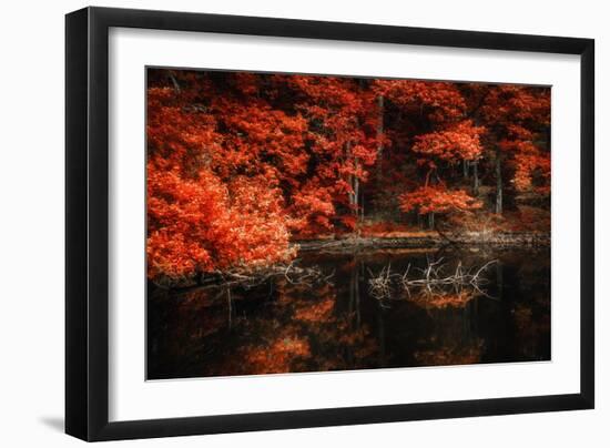 Still Breathing-Philippe Sainte-Laudy-Framed Photographic Print