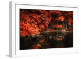 Still Breathing-Philippe Sainte-Laudy-Framed Photographic Print