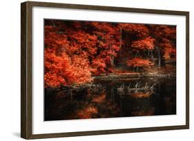 Still Breathing-Philippe Sainte-Laudy-Framed Photographic Print