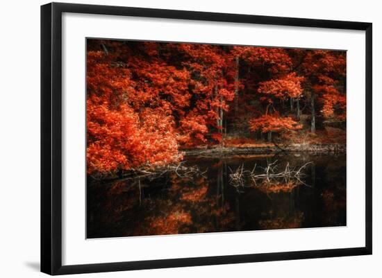 Still Breathing-Philippe Sainte-Laudy-Framed Photographic Print