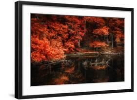 Still Breathing-Philippe Sainte-Laudy-Framed Photographic Print