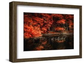 Still Breathing-Philippe Sainte-Laudy-Framed Photographic Print