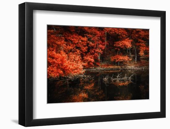 Still Breathing-Philippe Sainte-Laudy-Framed Photographic Print