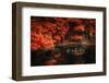 Still Breathing-Philippe Sainte-Laudy-Framed Premium Photographic Print