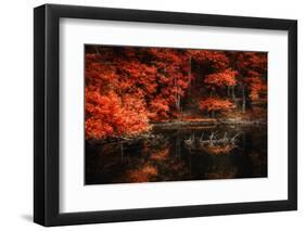 Still Breathing-Philippe Sainte-Laudy-Framed Premium Photographic Print