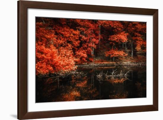 Still Breathing-Philippe Sainte-Laudy-Framed Photographic Print