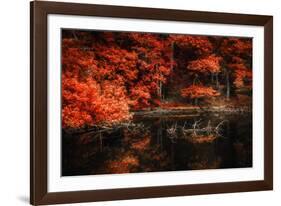 Still Breathing-Philippe Sainte-Laudy-Framed Photographic Print