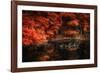 Still Breathing-Philippe Sainte-Laudy-Framed Photographic Print