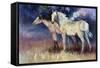 Still Free-Carolyne Hawley-Framed Stretched Canvas