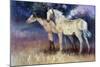 Still Free-Carolyne Hawley-Mounted Art Print