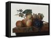 Still Life, 1810-John Johnston-Framed Stretched Canvas