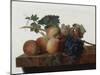 Still Life, 1810-John Johnston-Mounted Giclee Print