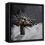 Still Life 44-Pol Ledent-Framed Stretched Canvas