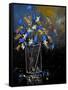 Still Life 5651-Pol Ledent-Framed Stretched Canvas