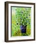 Still Life 673180-Pol Ledent-Framed Art Print