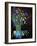 Still Life 674160-Pol Ledent-Framed Art Print