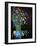 Still Life 674160-Pol Ledent-Framed Art Print