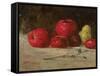 Still Life, Apples and Pears, 1871-Gustave Courbet-Framed Stretched Canvas