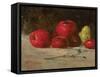 Still Life, Apples and Pears, 1871-Gustave Courbet-Framed Stretched Canvas