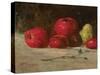 Still Life, Apples and Pears, 1871-Gustave Courbet-Stretched Canvas
