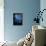 Still Life Blue Flowers-Pol Ledent-Framed Stretched Canvas displayed on a wall