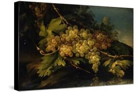 Still Life (Bunch of Yellow Grapes)-Francesco Malagoli-Stretched Canvas