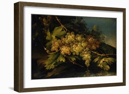 Still Life (Bunch of Yellow Grapes)-Francesco Malagoli-Framed Art Print