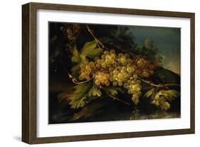 Still Life (Bunch of Yellow Grapes)-Francesco Malagoli-Framed Art Print