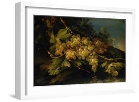 Still Life (Bunch of Yellow Grapes)-Francesco Malagoli-Framed Art Print